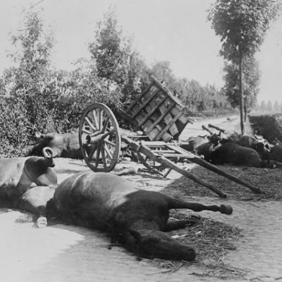 After the Battle of Halen